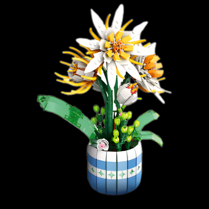 Flores Epiphyllum (835 pe&ccedil;as)