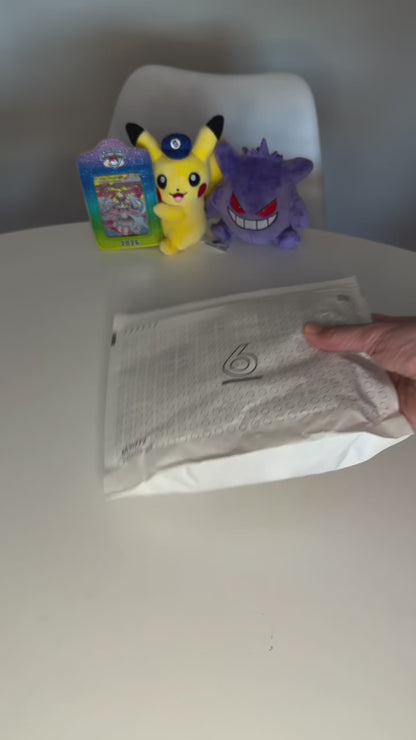 Pok&eacute;mon - Eevee (587 pe&ccedil;as)
