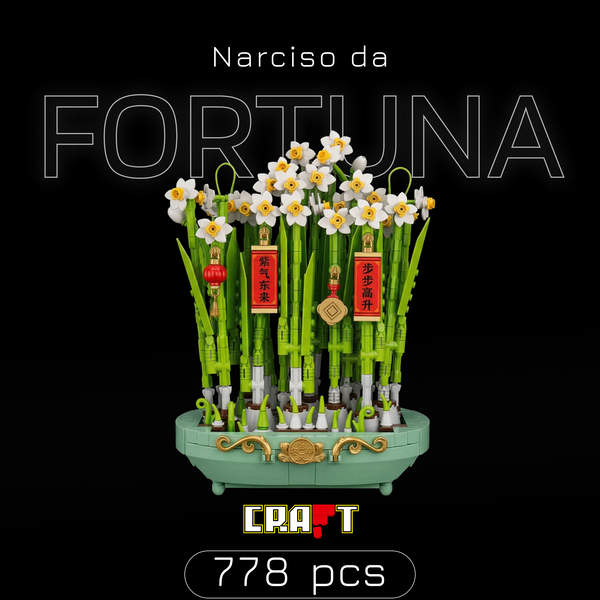 Narciso da Fortuna (778 peças)