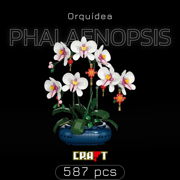 Orquídea Phalaenopsis em Vaso (587 peças)