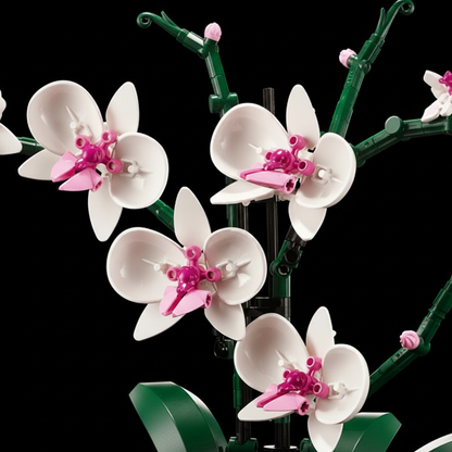 Buqu&ecirc; de Orqu&iacute;deas em Vaso (608 pe&ccedil;as)