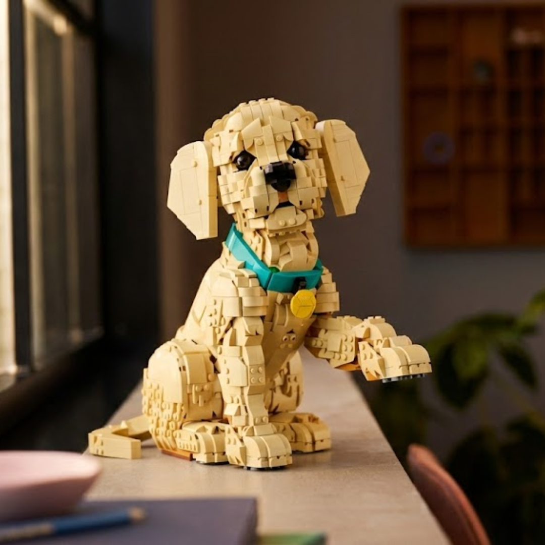 Cachorrinho Golden Retriever (2102 pe&ccedil;as)